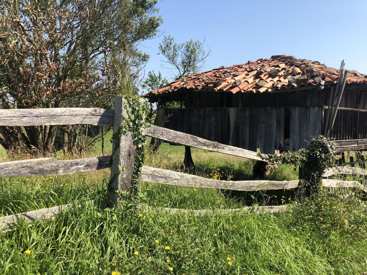 Hotel Tejera Del Nalon Soto Del Barco Εξωτερικό φωτογραφία
